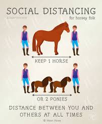 Pin On Cowgirl Entertainment