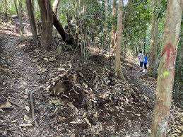 It is one of the six water village mukims. Wikiloc Sungai Hanching Trail