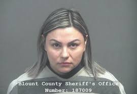 GENT, KEVIN LANCE Charges: DOMESTIC ASSAULT This information and more is  available https://apps.myocv.com/share/a95737804