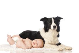 We did not find results for: 27 Precious Photos Of Dogs And Babies That Will Melt Your Heart
