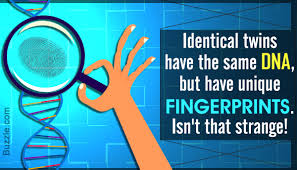 a step by step explanation of the dna fingerprinting process