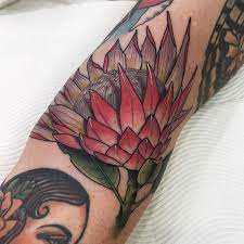 Image Result For Protea Tattoo Tattoos Tattoo Designs Flower Tattoo