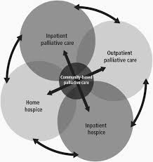 Ccn is comprised of six regional networks covering all u.s. Community Based Palliative Care The Natural Evolution For Palliative Care Delivery In The U S Journal Of Pain And Symptom Management