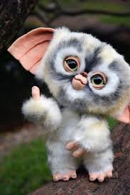Bad Mogwai In 2020 Cute Animal Photos Cute Baby Animals Cute Animals