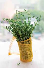 Antibiotics for cats should be used sparingly, when there really is little or no alternative. Pet Corner 7 Herbal Antibiotics For Pets Heal Herb Companion