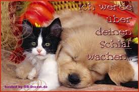 Guten abend gute nacht nacht grüße gute nacht whatsapp nacht spruch nachmittags grüße gif bilder gute nacht schöne woche. Gute Nacht Whatsapp Und Facebook Gb Bilder Gb Pics Gaestebucheintrag Gutenacht Gruss Gifs