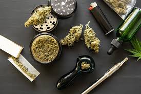 Image result for Cannabis
