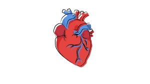 Chicanos — en mi corazon. Asi Influye El Latido Del Corazon A Nuestra Percepcion Del Mundo Exterior