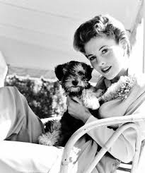 Joan Fontaine And Pup Iconic Movies Golden Age Of Hollywood Hollywood Icons