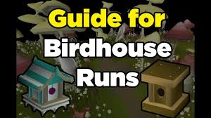 The earth altar is located northeast of varrock. Osrs Birdhouse Run Guide Mushtrees Xp Rates Run Youtube