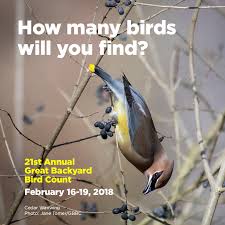 On the street of perimeter drive and street number is 6240. The Great Backyard Bird Count Ebird Pacific Northwest
