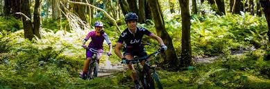 New horizons (acnh) for the nintendo switch. Women S Guide To Mountain Biking Kozy S Bike Shops Of Chicago Kozy S Chicago Bike Shops Chicago Bike Stores Bicycles Cycling Bike Repair