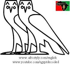 Egyptian owls hieroglyph