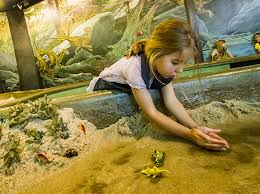 We did not find results for: Dinosaur Museum At Thanksgiving Point