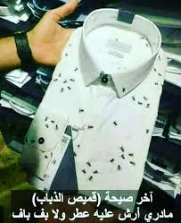 desertrose hehehe arabic funny jokes funny pictures