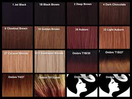 Chestnut Color Hair Color Chart Find Your Perfect Hair Style