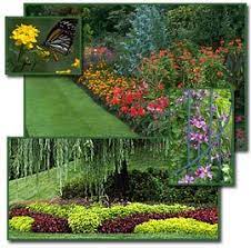 For all of your jacksonville, florida yard cleanup, scheduled yard maintenance, lawn mowing, and other lawn care needs, look no further than the incredible team here at tcb lawn service. Tlc Total Lawn Care 6655 Blanding Blvd Jacksonville Fl Pest Control Mapquest