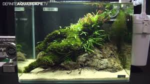 10984165 812435882164130 902031399556644604 O Jpg 1280 720 Nature Aquarium Planted Aquarium Aquascape