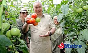 With its factories, warehouse and marketing office in cheras jaya balakong, the companies are expected to develop as an important branch for its manufacturing. Teknologi Canggih Piawaian Tinggi