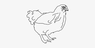 Black hen clip art at clker #177207. Leghorn Chicken Drawing Rooster Line Art Coloring Book Hen Black And White Clipart Transparent Png 360x340 Free Download On Nicepng