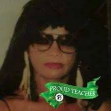 U City High School science teacher Julie Ertmann's career and achievements