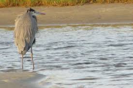 Top 10 Best Airports Near Dauphin Island, Al - Updated 2024 - Yelp