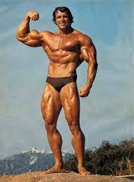 Olympia, conan, terminator, and governor of california. Wordpress Arnold Bodybuilding Bodybuilding Pictures Arnold Schwarzenegger Bodybuilding