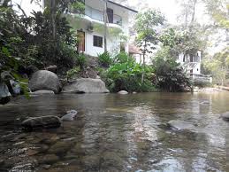 8 gorgeous resorts in janda baik for your next chilly getaway. 10 Tempat Penginapan Homestay Menarik Di Janda Baik Tak Sampai Sejam Dari Kl