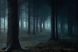Inge Bovens Photography Forbidden Forest This Is The Creepiest Bit Of This Particular Forest It Feels The Way It Looks In 2020 Forbidden Forest Forest Nature Art
