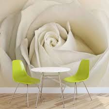 Buvu tapete de vinil ornament de argint 3d. Fototapete Tapete Blumen Rose Weiss Natur Bei Europosters Kostenloser Versand