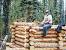 How To Build A Log Cabin From Trees