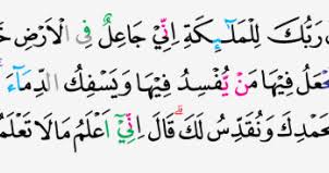 We did not find results for: Tajwid Al Quran Surat Al Baqarah Ayat 30 Masrozak Dot Com