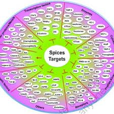 Di samping menerima gaji pokok maka setiap pegawai ada tunjangan. Pdf The Healing Effects Of Spices In Chronic Diseases