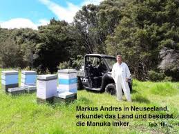 Beim kauf sollten sie darauf achten, dass der honig nicht gestreckt ist. Mgo Manuka Honig Schweizweit Und Online Kaufen Bienli Ch Markus Andres