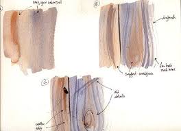Weathered Wood Watercolor Painting Techniques Watercolor Lessons Watercolor On Wood