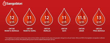 Disamping adanya penyakit pada darah yang disebabkan oleh faktor keturunan, ada juga kelainan darah yang disebabkan oleh faktor fisiologis. 7 Gejala Kurang Darah Yang Umum Terjadi Jangan Anggap Sepele Merdeka Com
