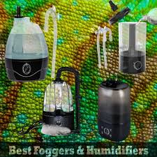 Maybe you would like to learn more about one of these? Best Chameleon Humidifiers Foggers In 2021 Chameleon School