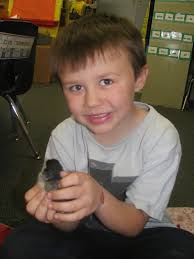 Sparta Area School District Blog: April 2014