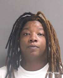 JOHNSON DEANNA DENESE 10/04/2021