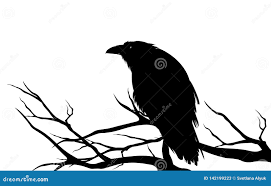 Oiseau Noir De Corbeau Sur Une Silhouette Nue De Vecteur D'arbre  Illustration de Vecteur - Illustration du horreur, silhouette: 142199223