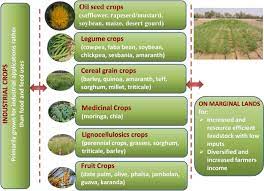 Ø typically caused by inappropriate relaxation of the low esophageal sphincter (les) or by intragastric pressure that. Crop Diversification And Saline Water Irrigation As Potential Strategies To Save Freshwater Resources And Reclamation Of Marginal Soils A Review Springerlink