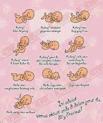 Berbagai fase dan proses pertumbuhan bayi dalam kandungan ibu usia 1, 2, 3 bulan dan perubahan yang bunda alami dari minggu ke minggu. Check Up Kali Ke Empat Tanda Pergerakan Baby Dalam Buku Pink Ceritera Si Gadis Biru