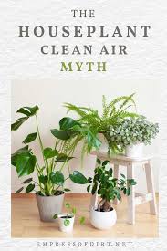 Maybe you would like to learn more about one of these? Do Houseplants Really Purify The Air Spoiler Alert No Empress Of Dirt