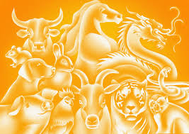 Your 2026 Chinese Zodiac guide, according to an expert