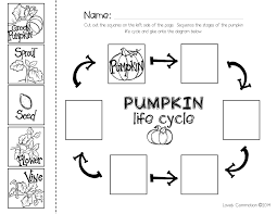 Pumpkin Life Cycle Jpg Google Drive Fall Kindergarten Pumpkin Life Cycle Pumpkins Kindergarten