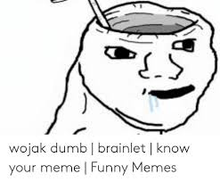 In comparison, their brain is at least 2 times smaller, but in rare cases can be even smaller. Meme Wojak