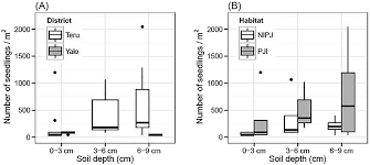 Image result for Lipocarpha rehmannii