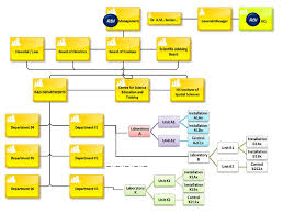 Organization Chart Rdi Download Scientific Diagram