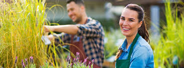 La vie des startups racontée par un entrepreneur, par christophe jakubyszyn. Specialiste De La Performance Agricole Et Du Jardin Copal Gamm Vert