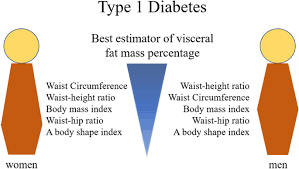 What does the waist to hip ratio determine? Waist Height Ratio And Waist Are The Best Estimators Of Visceral Fat In Type 1 Diabetes Scientific Reports